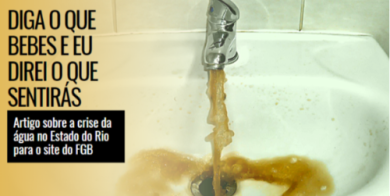 imagem_2025-03-08_131715673